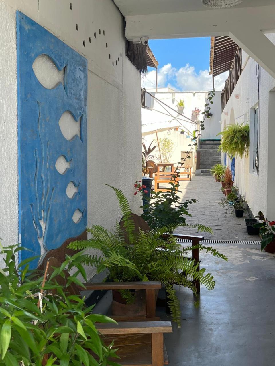 Mucuge E Albergue